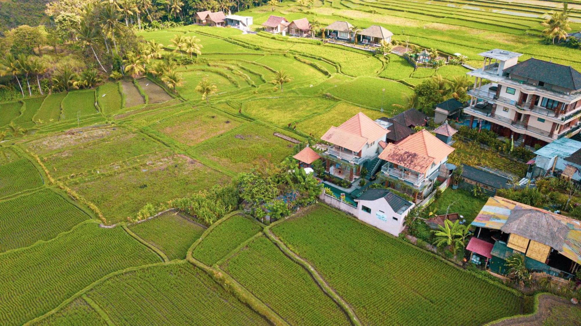 Raditya Villa Ubud מראה חיצוני תמונה